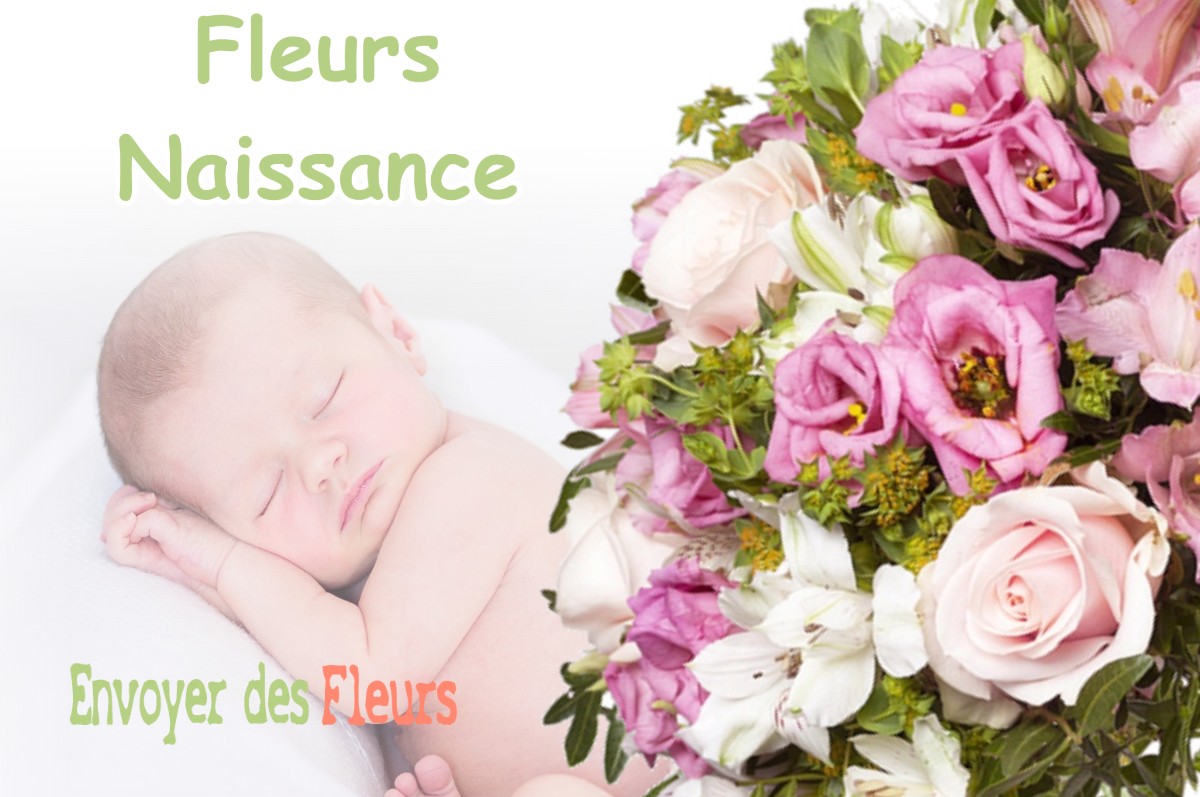 lIVRAISON FLEURS NAISSANCE à BONNEFONTAINE